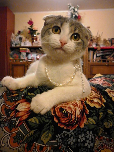 Дарья Русланова