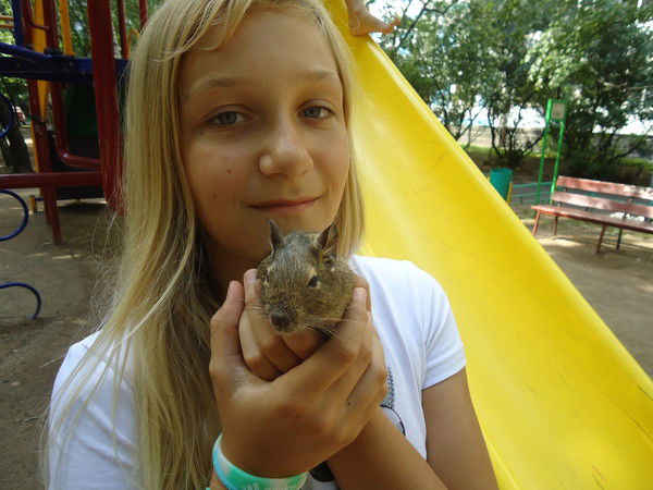 Даша Никитенкова