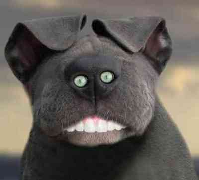 Юра Белошапка