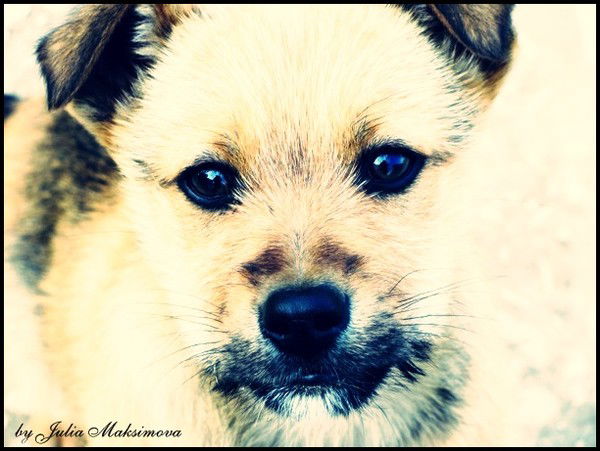 Наталья Кравцова