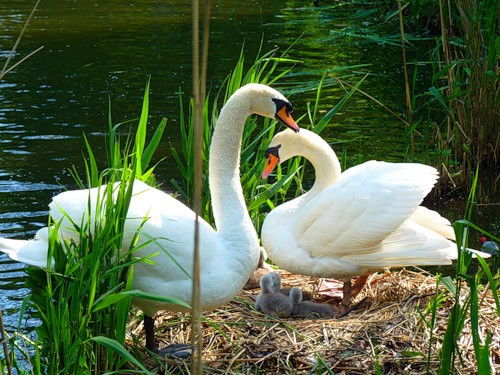 Гуля Сунагатуллина