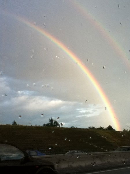 Светлана Сабирова