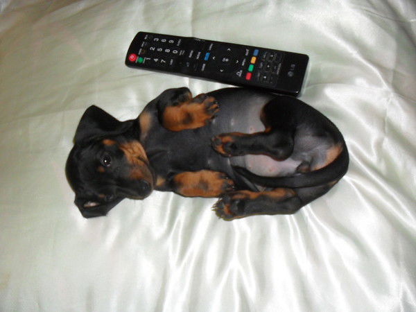 Марина Носкова