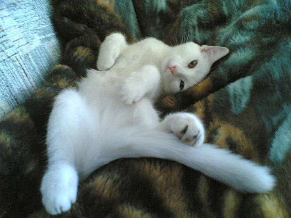 Сергей Гусев