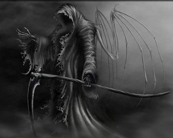 Гриша Баркалая