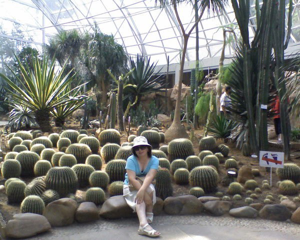 Елена Томтосова