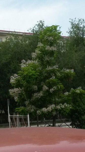 Колодкина Оксана