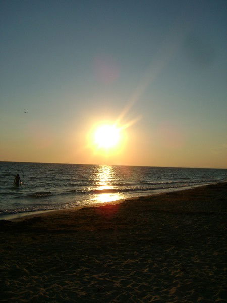 Андрей Москалюк