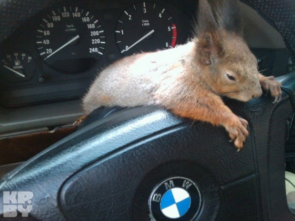 Неизвестно *********