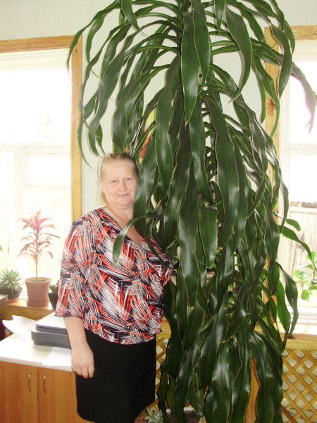 Надежда Плотникова