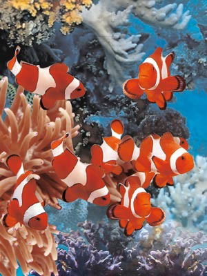 Екатерина **********