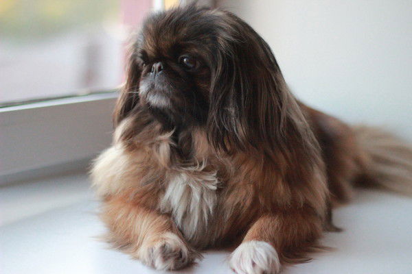 Игорь Голдобин