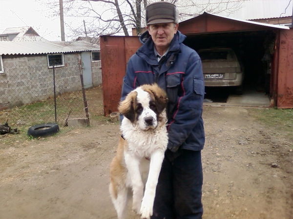 Владимир Аверьянов