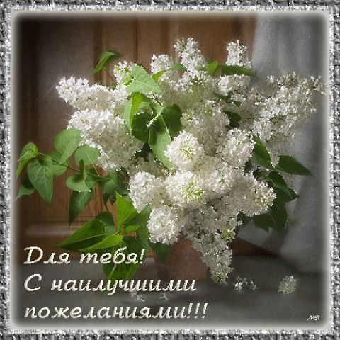 Лилия Курдт