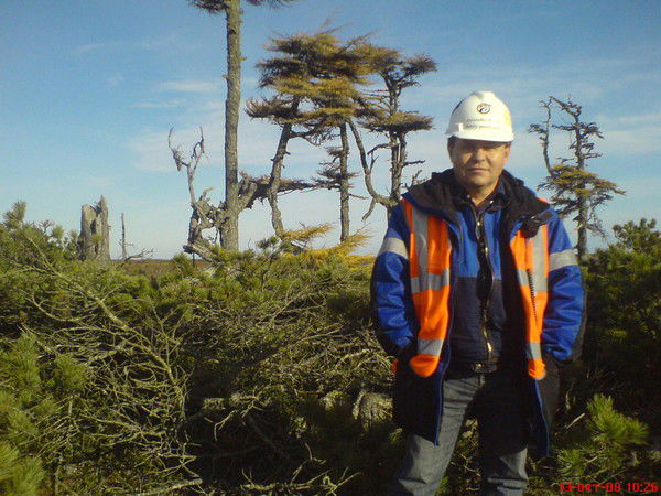 Александр Минеев