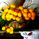 Evgeshka.sun