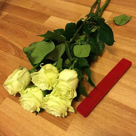 Светлана Сергеевна