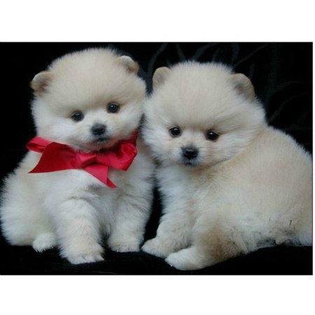 Маришка) ))))