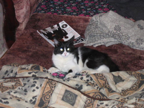 Семен Семеныч