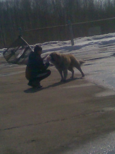 Влад Андреев