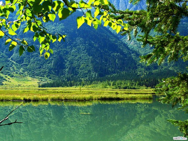 Павел Лапшев