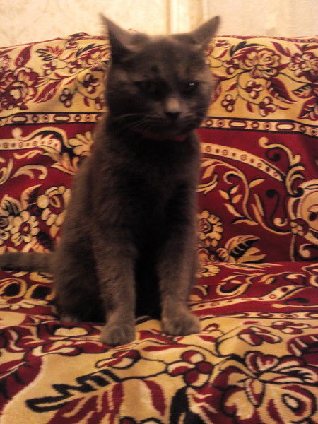 Тамара Калиновская