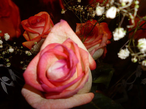 Альбина Фаткуллина