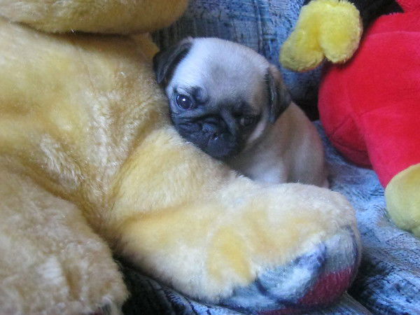 Катя ***$$$$$***