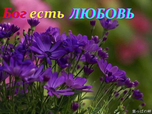 Лариса Илларионова