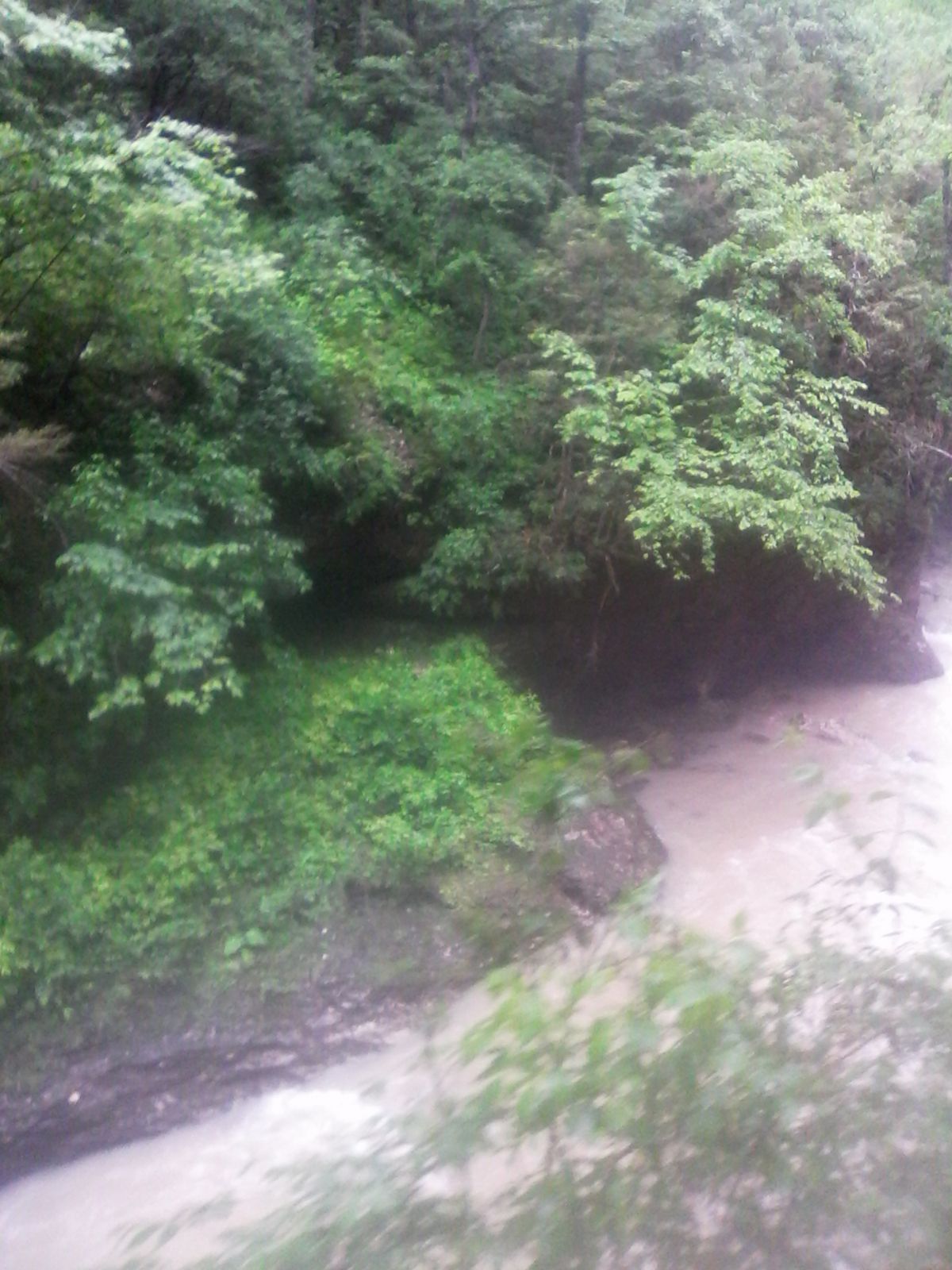 виктория ковалевская