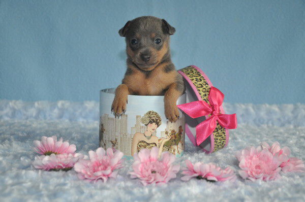 Ольга Сухорукова