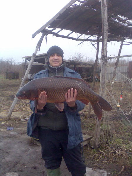 Егор Швецов