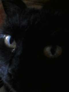 Eкатерина Овчинникова