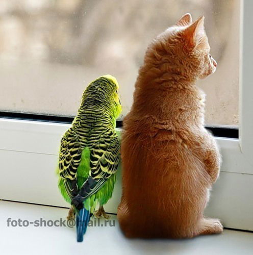 Алия Суйндыкова