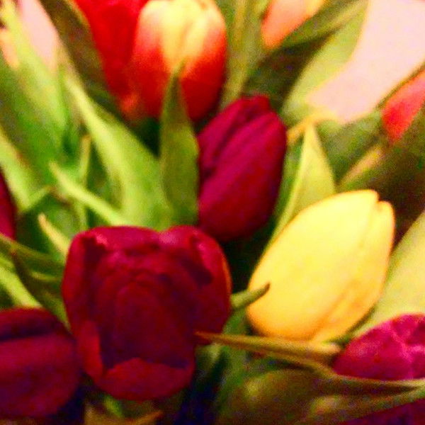 Ирина Чикина