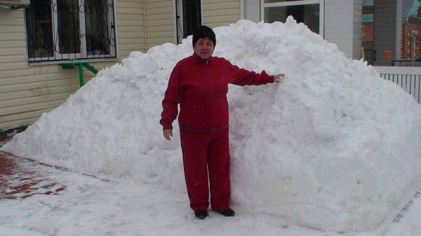 Любовь Соколова