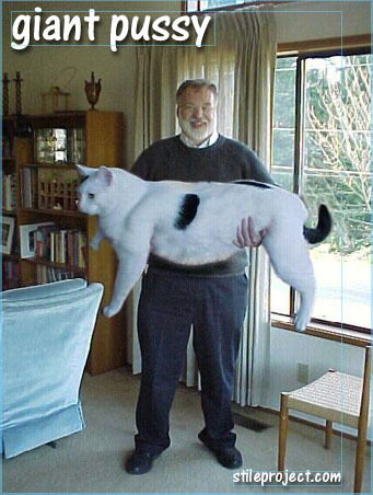 Андрей Верещетин