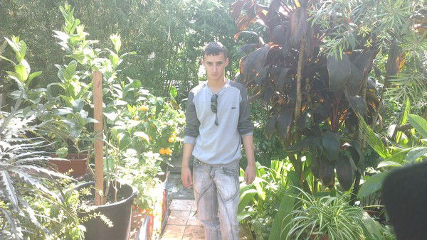 Игорь Решетник