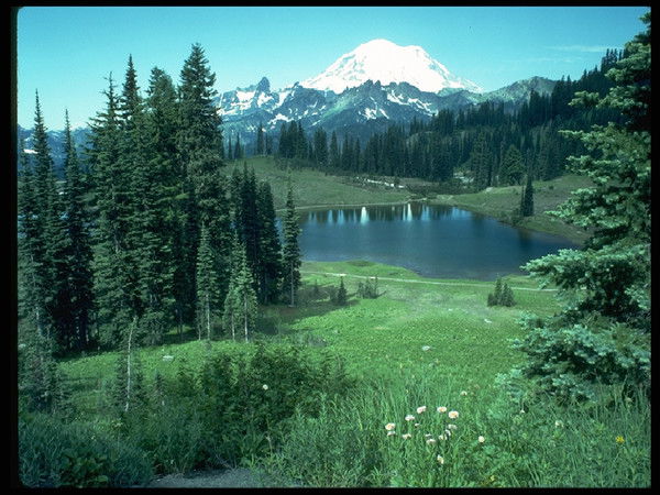 ????????????????? ???????????????