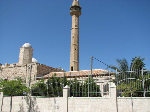 Инна Фелоненко