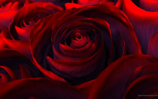 Гкп Аопнд На Пхв