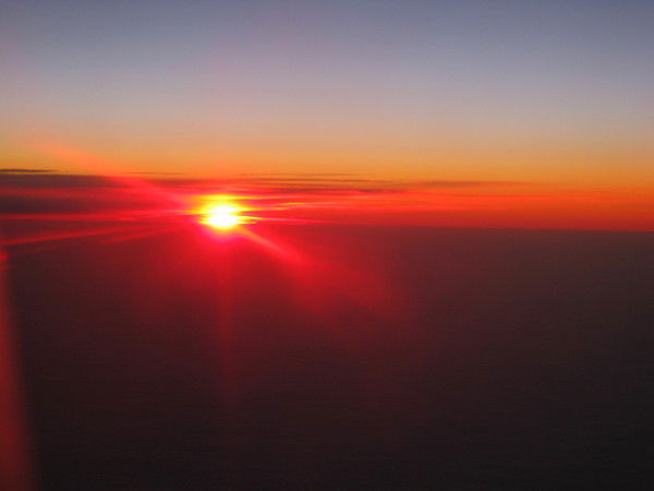 Ольга Тюркина