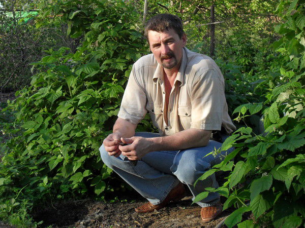 Алексей Курин