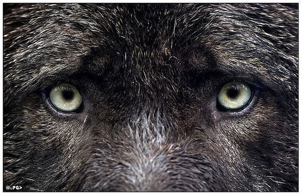 Алексей Мачин