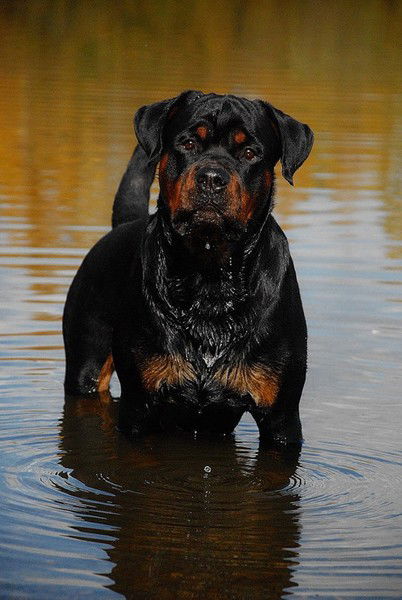 Евгений Иванов
