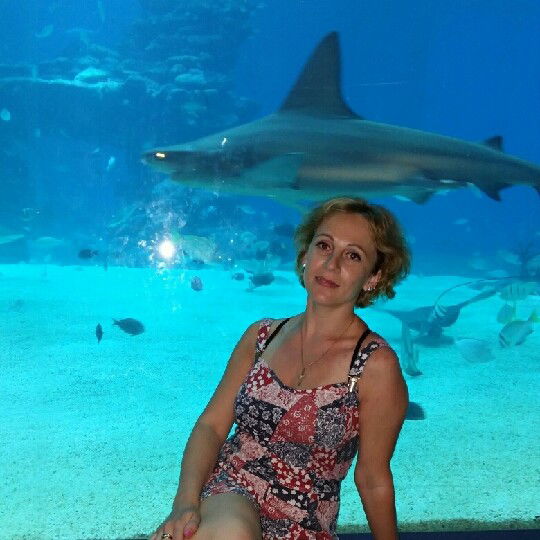 Елена Дорофеева