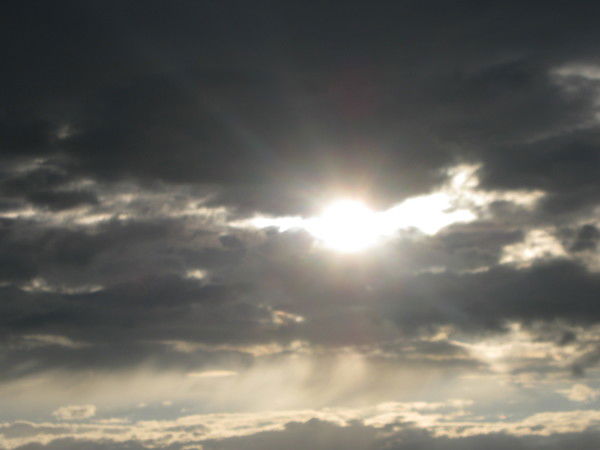 Хахубия Елена