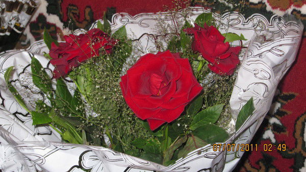 Аяулым Молдахметова