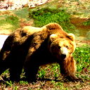 Фатеев Дмитрий(Kortoha)