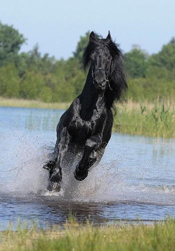 Лаура Дюсембаева